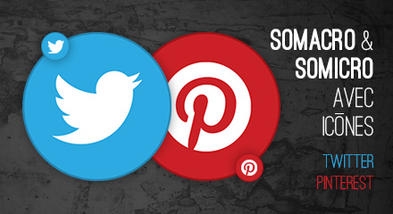Somacro et Somicro: icônes Pinterest et Twitter